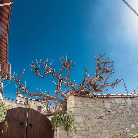 Angeli's Traditional Village House